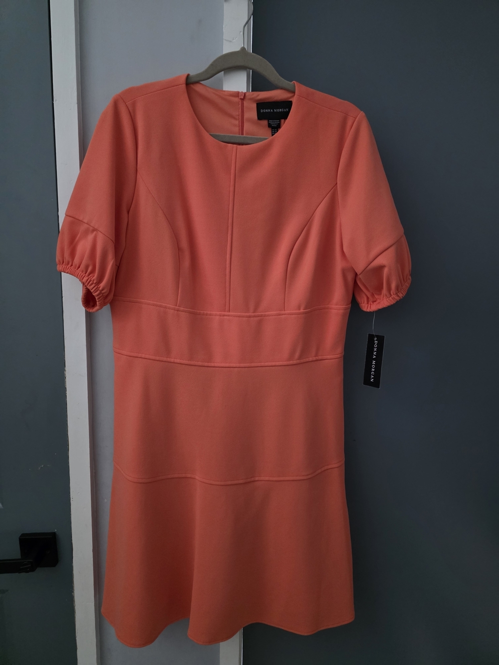 Donna Morgan Coral Puff-Sleeve Fit-and-Flare Dress